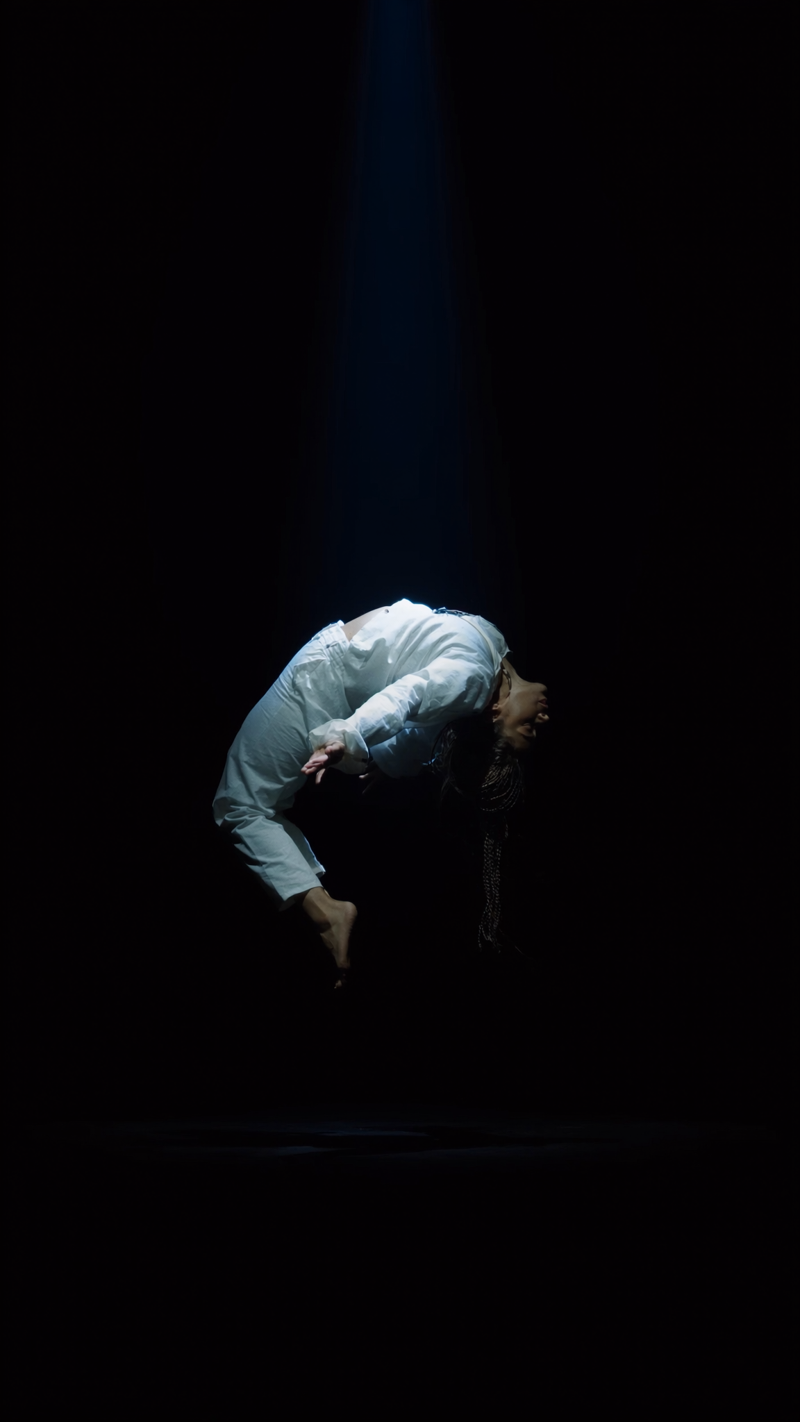 Spotlight